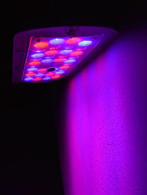 Architectural_LED_Colourwash_Illumination_Exterior_IPRated