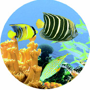HydrotherapyImage1