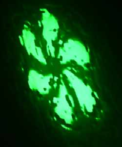 Sensory_Hydro_Projecting_on_water_02