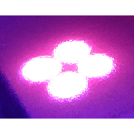 SwimmingPoolProjector1