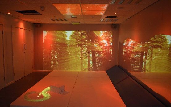 ImmersiveLearningEnvironment_TopicAreasSeasons