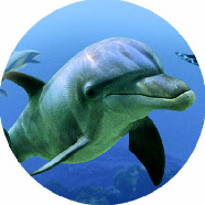 HydrotherapyImage3
